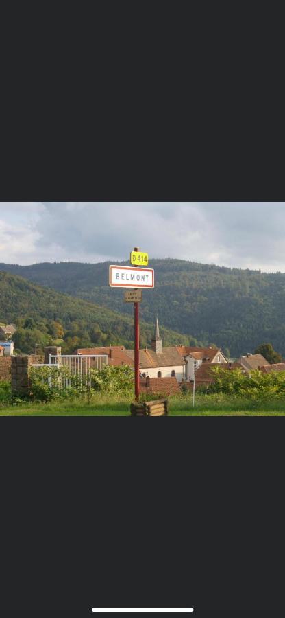Gite De Montagne Au Pied Du Champ Du Feu Belmont  Екстериор снимка