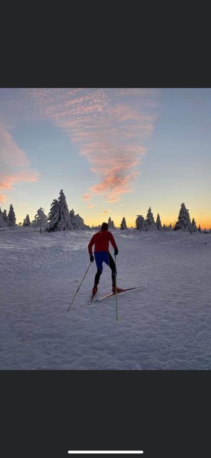 Gite De Montagne Au Pied Du Champ Du Feu Belmont  Екстериор снимка