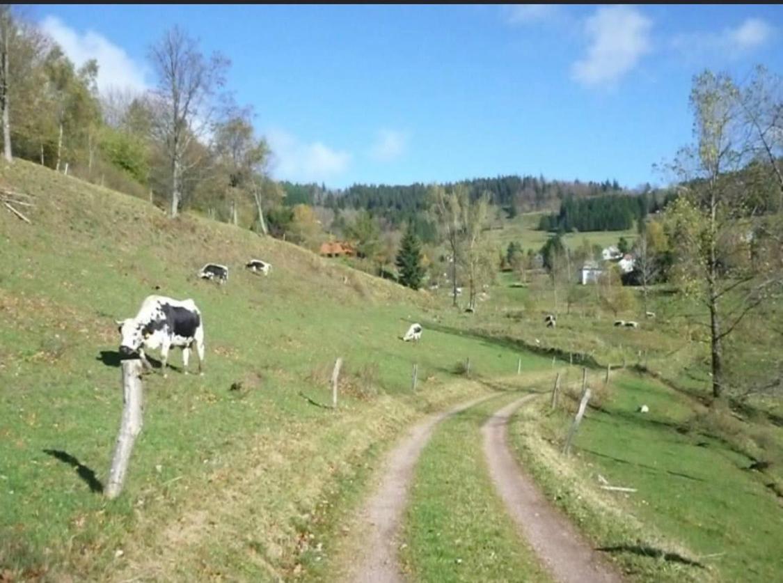 Gite De Montagne Au Pied Du Champ Du Feu Belmont  Екстериор снимка